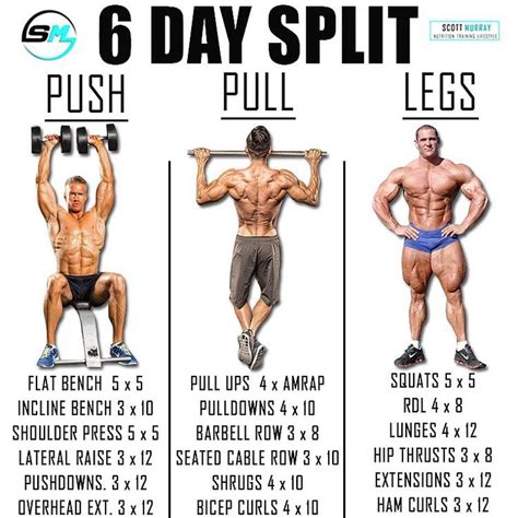 Push/Pull/Legs Split: 3-6 Day Weight Training Workout Schedule and Plan ...