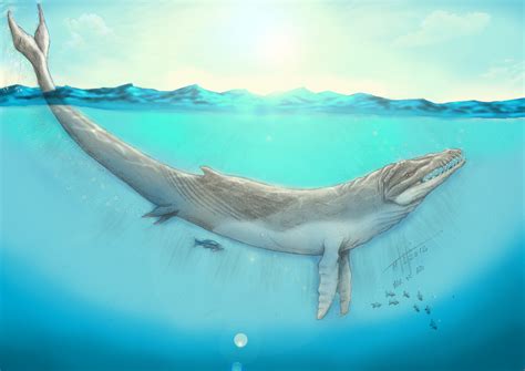 Basilosaurus in color by Giganotosaur on DeviantArt