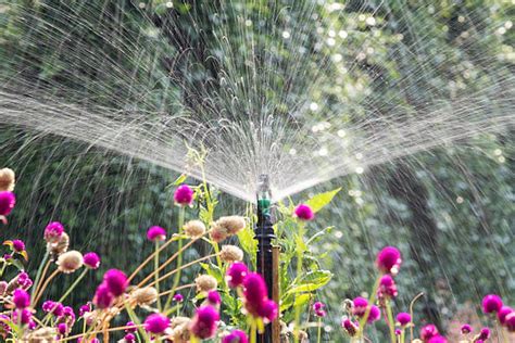 Dallas Sprinkler Repair | Mr Sprinkler Repair Don 039 let a … | Flickr