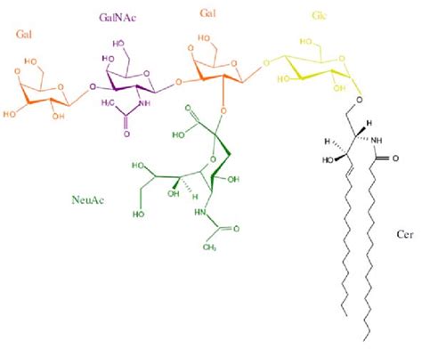 Structure of ganglioside GM1. | Download Scientific Diagram