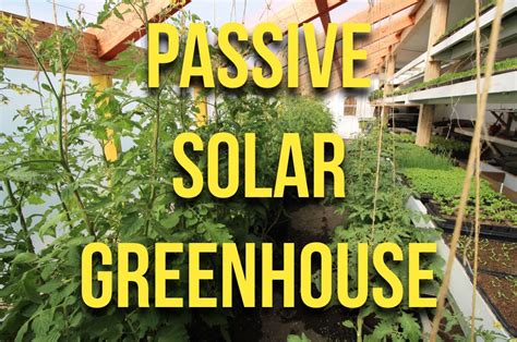 passive solar greenhouse | The Urban Farmer