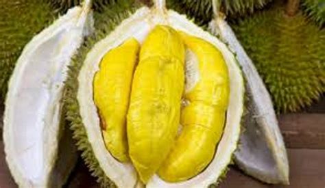 Makan Buah Durian Berlebihan, Ini Efeknya | Kabar Jombang