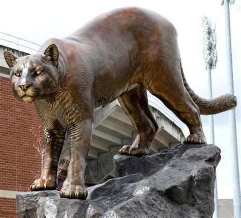 Washington State University - 15' Cougar Mascot Monument - JWU Wildcats ...