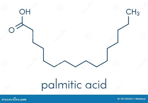 Palmitic Hexadecanoic Acid Saturated Fatty Acid Molecule. Skeletal ...