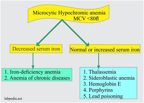 Anemia:- Part 2 - Iron Deficiency Anemia, Microcytic and hypochromic ...