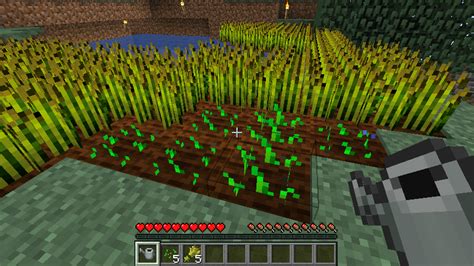 Expert Mode Watering Can | Minecraft Expert Mode Wiki | Fandom