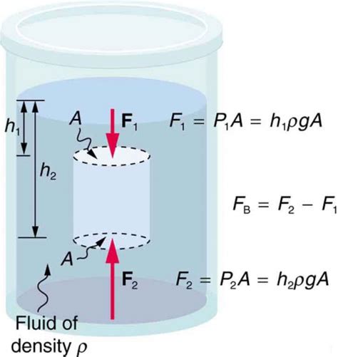 Archimedes' Principle | Physics | | Course Hero