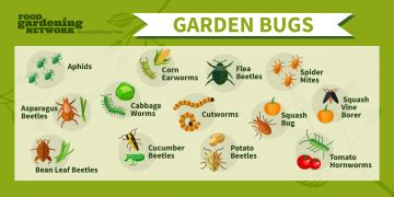 13 Deadly Vegetable Garden Pests - Food Gardening Network