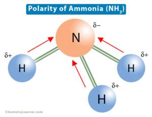 Polarity of Ammonia (NH3) - Chemistry Learner