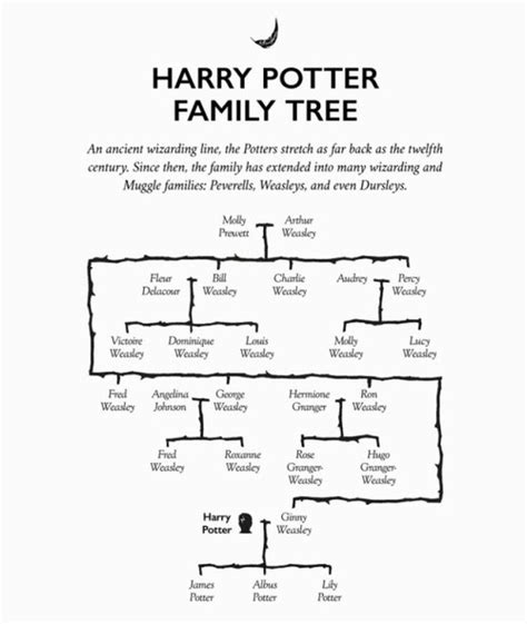 Harry Potter Next Generation Family Tree | Fandom