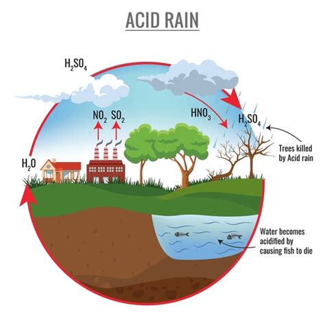 7,788 Acid Rain Images, Stock Photos, 3D objects, & Vectors | Shutterstock