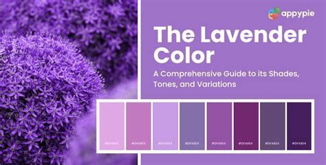 Lavender Color: Shades, Tones & Variations of Lavender Colour