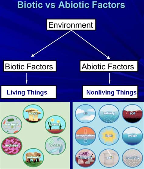 Difference between Biotic and Abiotic factors - Laboratoryinfo.com