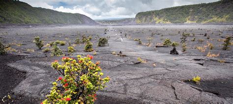 View 23: Hiking Trails In Hawaii Volcanoes National Park