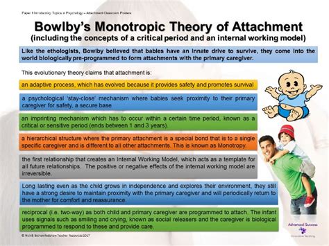 Bowlbys Attachment Theory | Hot Sex Picture