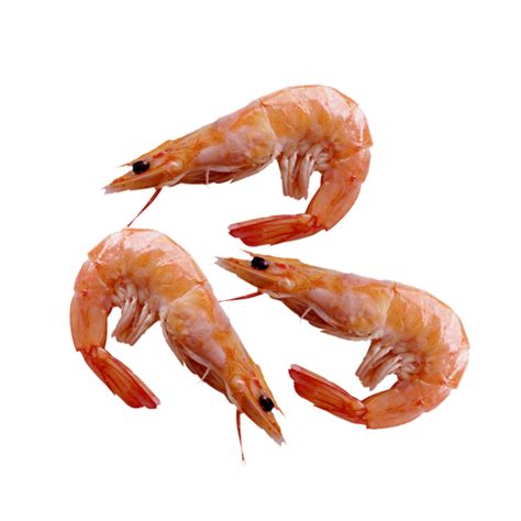 File:Shrimp.png - Fishing Planet Wiki