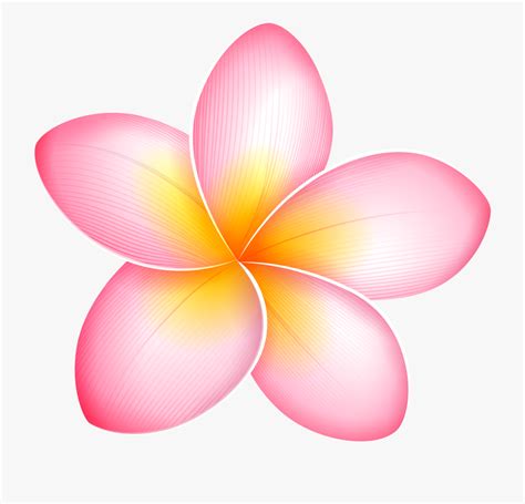 pink plumeria clip art 10 free Cliparts | Download images on Clipground ...