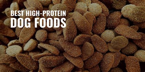 11 Best High-Protein Dog Foods – Factors To Consider, Reviews & FAQ