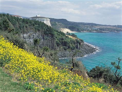 Jungmun Beach In Jeju | Jeju island, Natural landmarks, Jeju