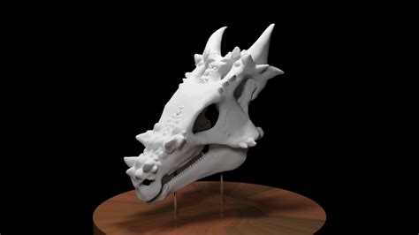 Dracorex Skull 3D Model | atelier-yuwa.ciao.jp