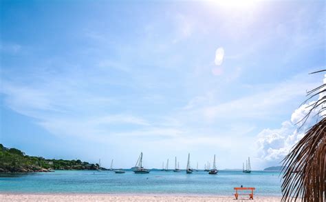 Water Island • Salty Daze Charters USVI