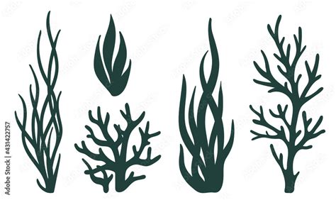 Laser cutting template. Seaweeds. Set of coral reef underwater plants ...