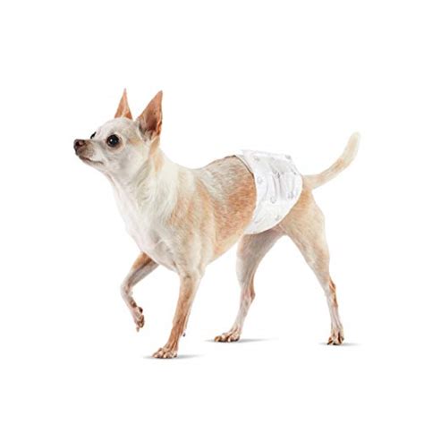 AmazonBasics Male Dog Wrap