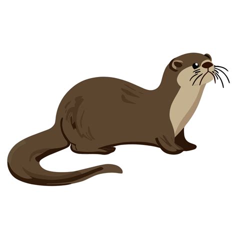 Otter clipart transparent background 24029765 PNG