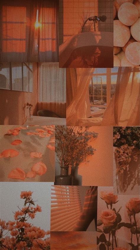 Pin by lili on lili‍♀️ | Aesthetic wallpapers, Peach wallpaper ...