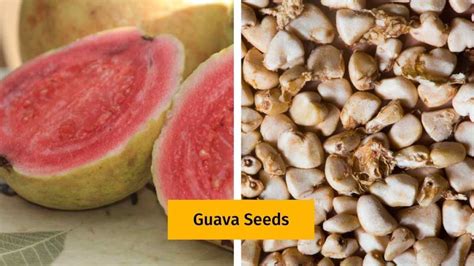 Can You Eat Guava Seeds - Are They Too Hard