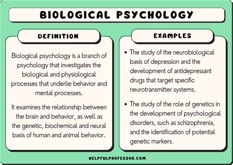 10 Biological Psychology Examples (2024)