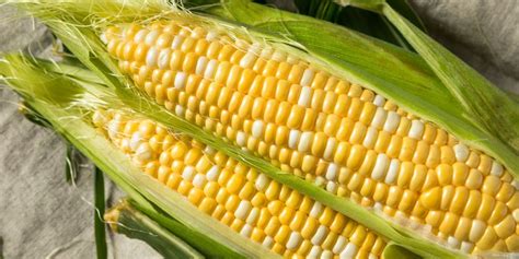 Corn on the Cob - Your Way