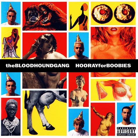 Bloodhound Gang Hooray for boobies (Vinyl Records, LP, CD) on CDandLP