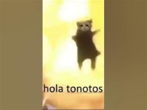 hola tonotos meme xd - YouTube