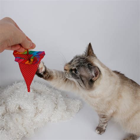 Catnip Mouse Toy – The Cat Ball