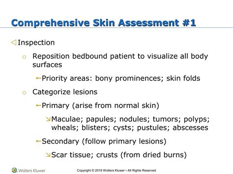 PPT - Chapter 11— Skin, Hair, and Nails Assessment PowerPoint ...