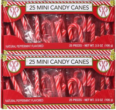 Amazon.com : Mini Candy Canes (50) Individually Wrapped 7.0 oz total ...