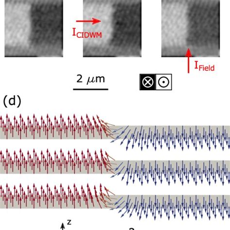 Time resolved XMCD contrast variation along the magnetic domain wall ...