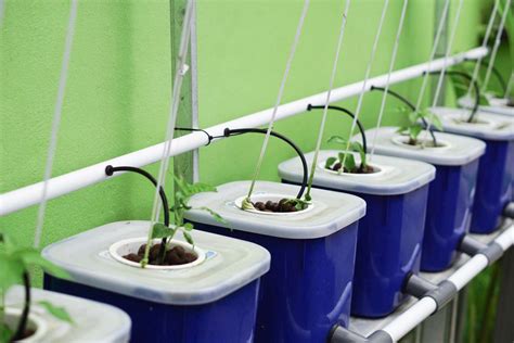 Hydroponic Watering System