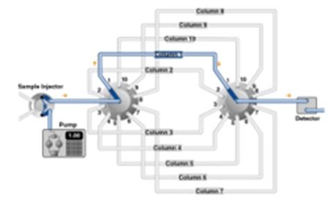 Chiral Chromatography / Enantiomers