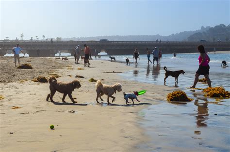 Guia Completo de Praias em Del Mar | LaJolla.com | Li Linguas