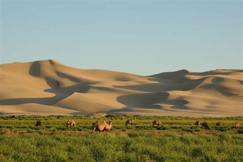 Umnugobi Province - Escape To Mongolia