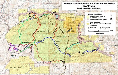 Hiking in the Black Elk Wilderness of South Dakota