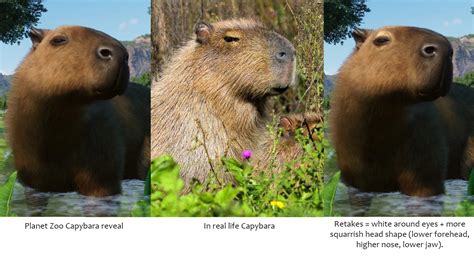 Capybara head shape and color detail could be better ? | Frontier Forums