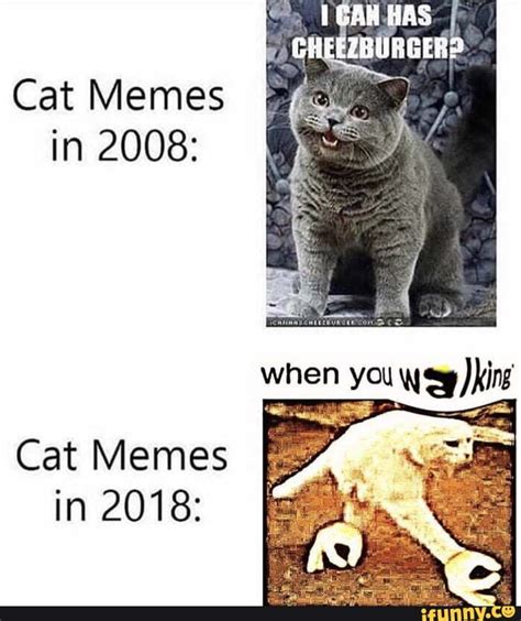 HAS CHEEZBURGERS Cat Memes in 2008: when you Cat Memes in 2018: - iFunny