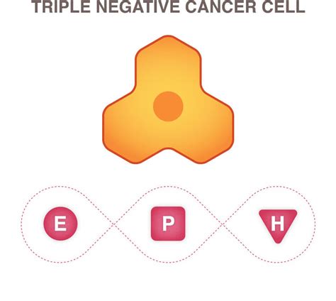 Triple Negative Breast Cancer - National Breast Cancer Foundation