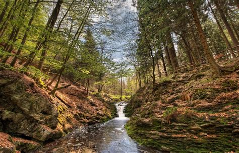 Forest of Ardennes, river Ardennes | België, Reizen