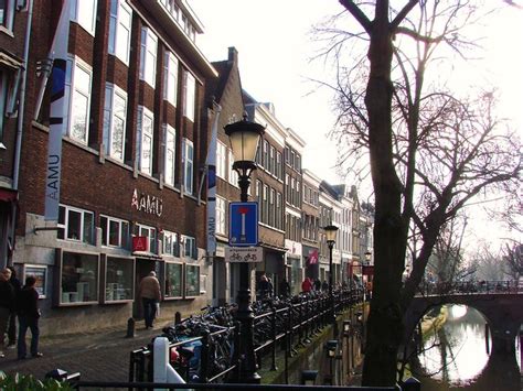 Aboriginal Art Museum of Utrecht | A Flamingo in Utrecht