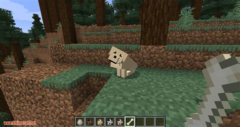 More Dogs Mod Para Minecraft 1152 Minecrafteo | Images and Photos finder