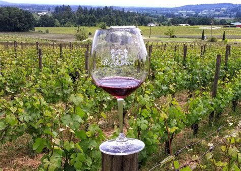 Oregon Wines Hit High Notes with Wine Critics in 2023 - Oregon Wine Board